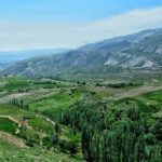 سفر به قلب آرامش؛ آشنایی با سرچشمه زرقوم در روستای ارکان