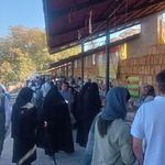 از تولید به مصرف در بازار محلی ارکان بجنورد