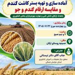 برگزاری کارگاه آموزشی و ترویجی آماده‌سازی بستر کشت گندم و مقایسه ارقام در روستای ارکان
